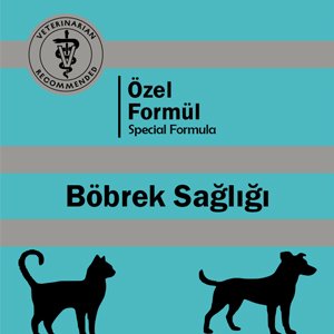 BÖBREK SAĞLIĞI