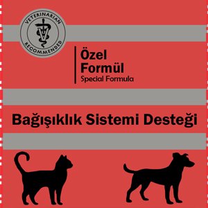 Bağışıklı Sistemi Desteği