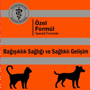 Bağışıklı Sağlığı ve Sağlıklı Gelişim