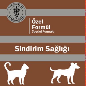 Sindirim Sağlığı